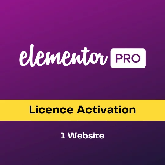 Elementor licence pro 1 web